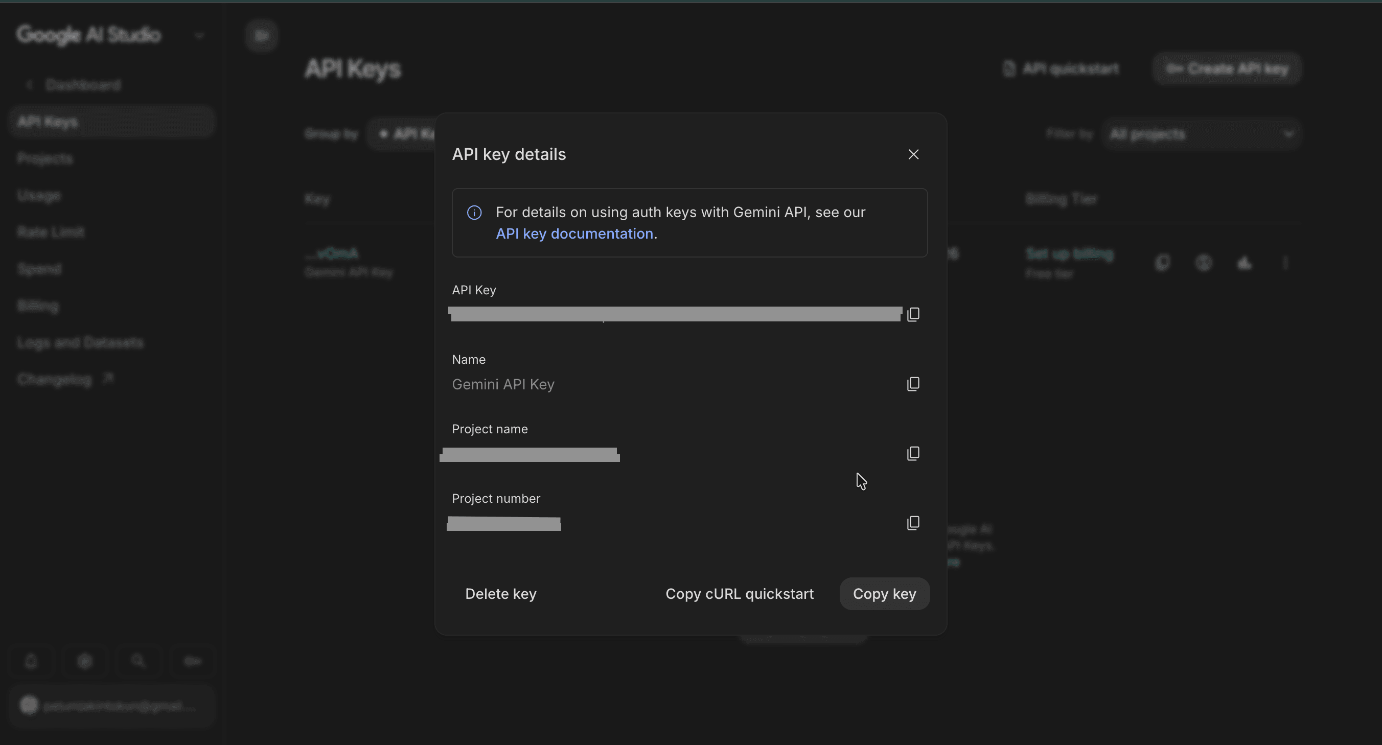 Copy your key from the API key details dialog.